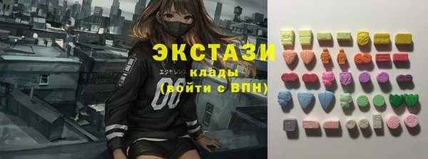 apvp Иннополис