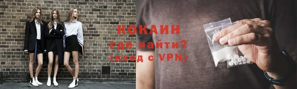 apvp Иннополис
