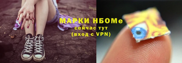 PSILOCYBIN Каменка