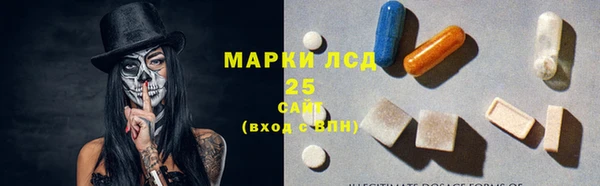 соль ск Инсар
