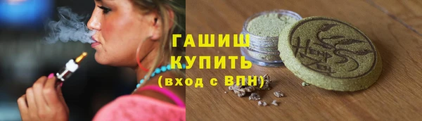 соль ск Инсар