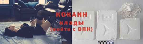 apvp Иннополис