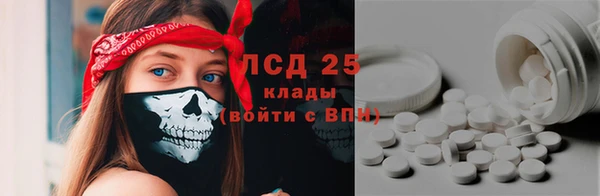 PSILOCYBIN Каменка