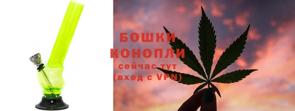 соль ск Инсар