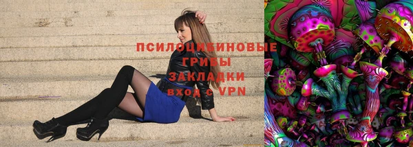 соль ск Инсар