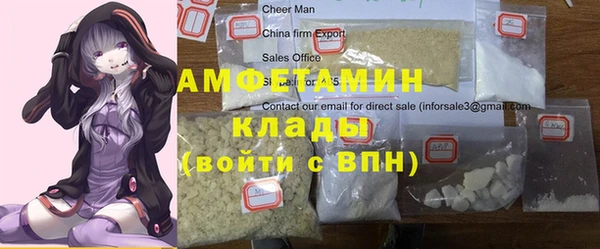 соль ск Инсар