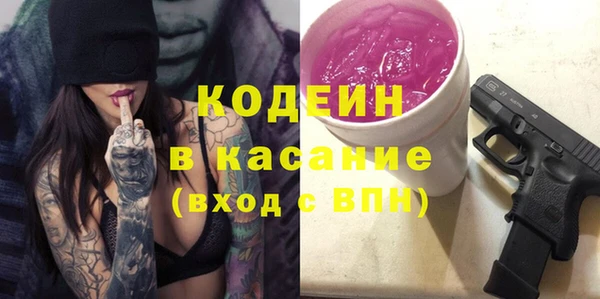 apvp Иннополис