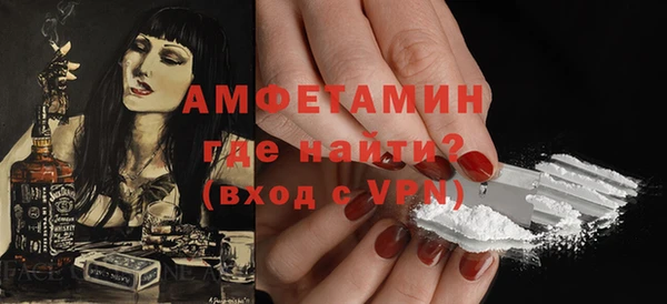 соль ск Инсар